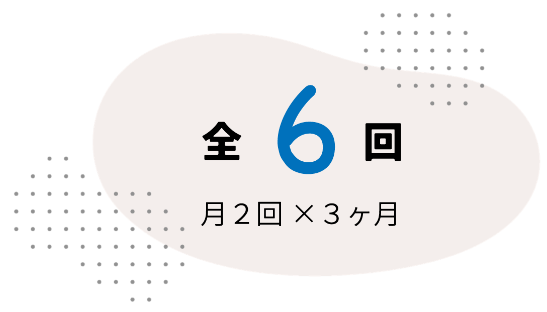 全6回